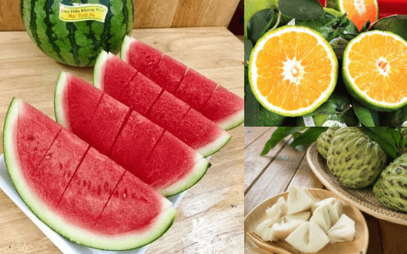 Một số yếu tố ảnh hưởng và điều hòa, điều khiển sinh sản ở sinh vật (KHTN 7 Kết nối tri thức Bài 41)