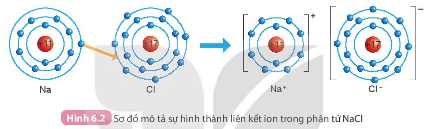Giới thiệu về liên kết hóa học (KHTN 7 Kết nối tri thức Bài 6)