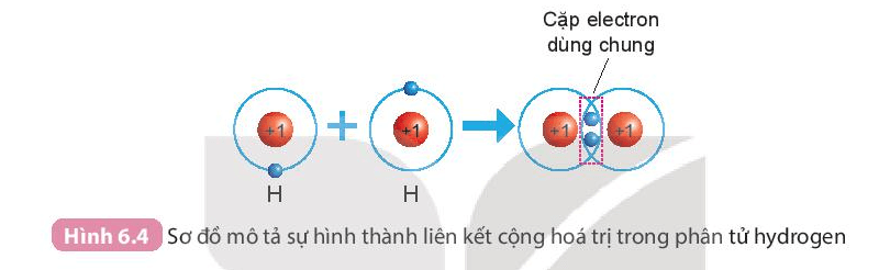 Giới thiệu về liên kết hóa học (KHTN 7 Kết nối tri thức Bài 6)