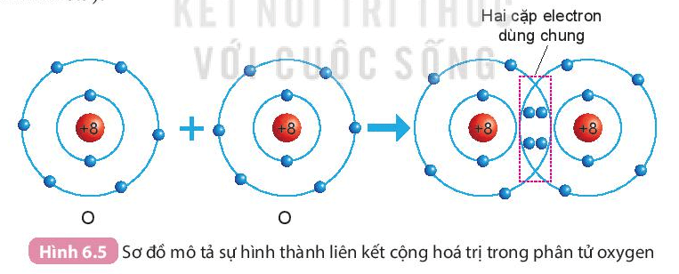 Giới thiệu về liên kết hóa học (KHTN 7 Kết nối tri thức Bài 6)