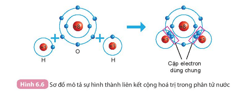 Giới thiệu về liên kết hóa học (KHTN 7 Kết nối tri thức Bài 6)