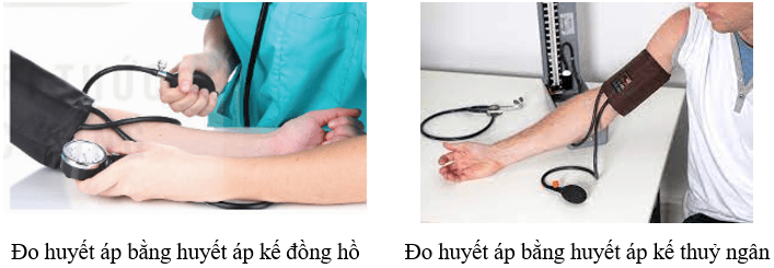 Sử dụng một số hóa chất, thiết bị cơ bản trong phòng thí nghiệm (KHTN 8 Kết nối tri thức Bài 1)