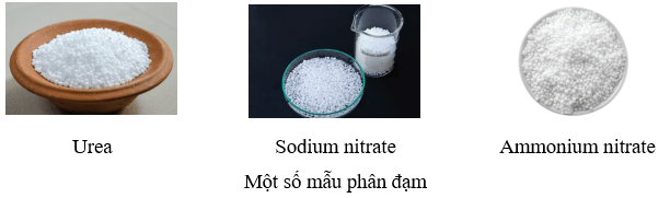 Phân bón hóa học (KHTN 8 Kết nối tri thức Bài 12)