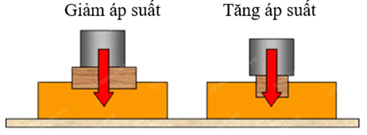 Áp suất trên một bề mặt (KHTN 8 Kết nối tri thức Bài 15)