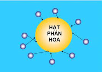 Năng lượng nhiệt và nội năng (KHTN 8 Kết nối tri thức Bài 26)