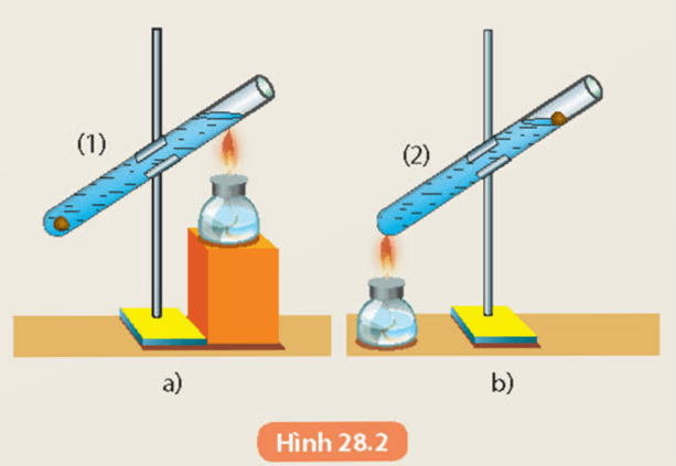 Sự truyền nhiệt (KHTN 8 Kết nối tri thức Bài 28)