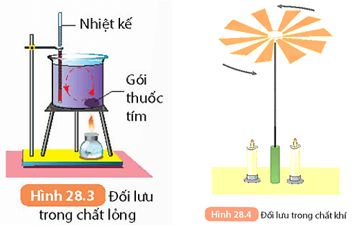 Sự truyền nhiệt (KHTN 8 Kết nối tri thức Bài 28)