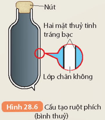 Sự truyền nhiệt (KHTN 8 Kết nối tri thức Bài 28)