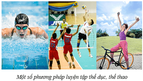 Hệ vận động ở người (KHTN 8 Kết nối tri thức Bài 31)
