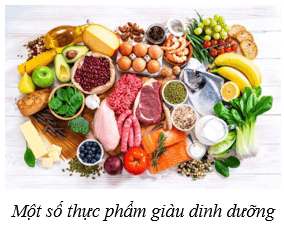 Dinh dưỡng và tiêu hóa ở người (KHTN 8 Kết nối tri thức Bài 32)