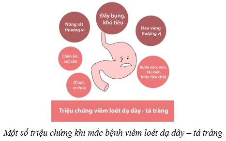 Dinh dưỡng và tiêu hóa ở người (KHTN 8 Kết nối tri thức Bài 32)