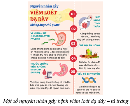 Dinh dưỡng và tiêu hóa ở người (KHTN 8 Kết nối tri thức Bài 32)