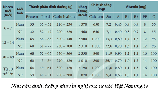 Dinh dưỡng và tiêu hóa ở người (KHTN 8 Kết nối tri thức Bài 32)