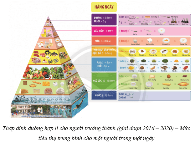 Dinh dưỡng và tiêu hóa ở người (KHTN 8 Kết nối tri thức Bài 32)