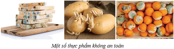 Dinh dưỡng và tiêu hóa ở người (KHTN 8 Kết nối tri thức Bài 32)