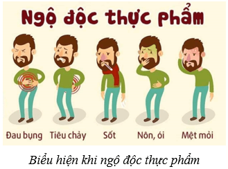 Dinh dưỡng và tiêu hóa ở người (KHTN 8 Kết nối tri thức Bài 32)