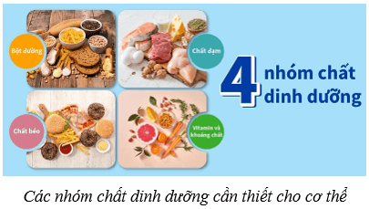 Dinh dưỡng và tiêu hóa ở người (KHTN 8 Kết nối tri thức Bài 32)