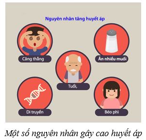 Máu và hệ tuần hoàn của cơ thể người (KHTN 8 Kết nối tri thức Bài 33)