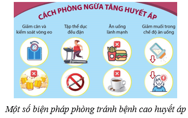 Máu và hệ tuần hoàn của cơ thể người (KHTN 8 Kết nối tri thức Bài 33)