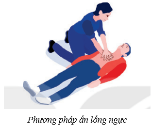 Hệ hô hấp ở người (KHTN 8 Kết nối tri thức Bài 34)