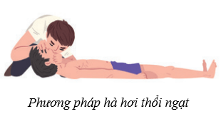 Hệ hô hấp ở người (KHTN 8 Kết nối tri thức Bài 34)