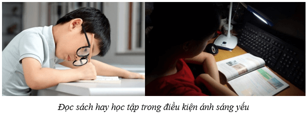 Hệ thần kinh và các giác quan ở người (KHTN 8 Kết nối tri thức Bài 37)