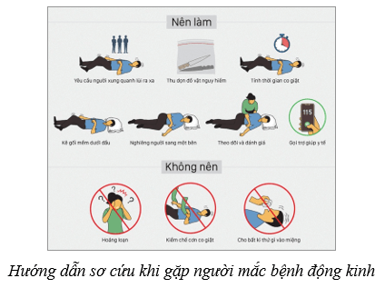 Hệ thần kinh và các giác quan ở người (KHTN 8 Kết nối tri thức Bài 37)