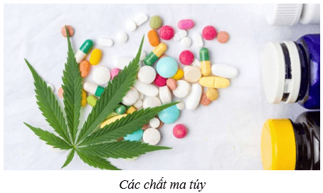Hệ thần kinh và các giác quan ở người (KHTN 8 Kết nối tri thức Bài 37)
