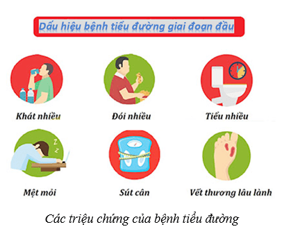 Hệ nội tiết ở người (KHTN 8 Kết nối tri thức Bài 38)