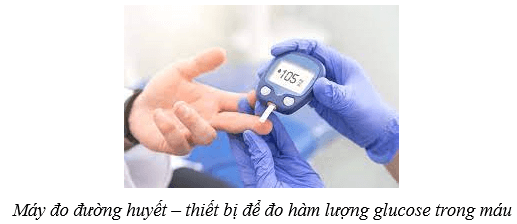 Hệ nội tiết ở người (KHTN 8 Kết nối tri thức Bài 38)