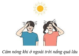 Da và điều hòa thân nhiệt ở người (KHTN 8 Kết nối tri thức Bài 39)