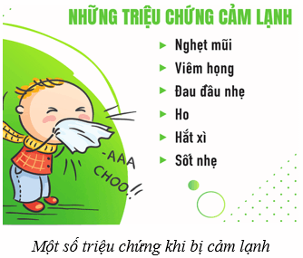 Da và điều hòa thân nhiệt ở người (KHTN 8 Kết nối tri thức Bài 39)