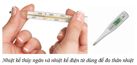 Da và điều hòa thân nhiệt ở người (KHTN 8 Kết nối tri thức Bài 39)