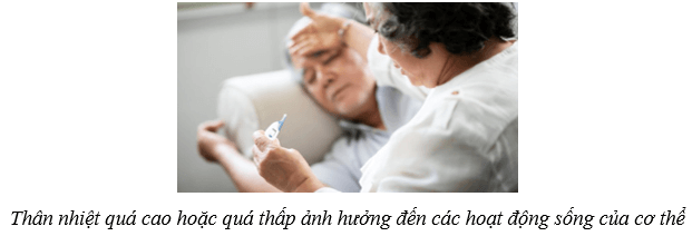 Da và điều hòa thân nhiệt ở người (KHTN 8 Kết nối tri thức Bài 39)
