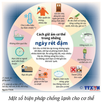 Da và điều hòa thân nhiệt ở người (KHTN 8 Kết nối tri thức Bài 39)