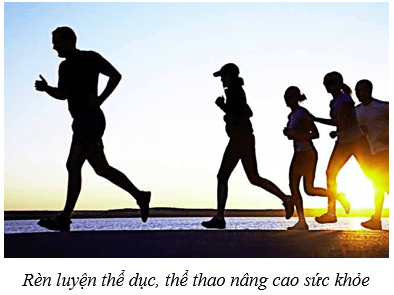 Da và điều hòa thân nhiệt ở người (KHTN 8 Kết nối tri thức Bài 39)