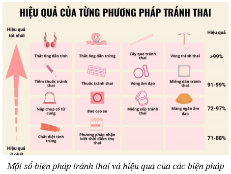 Sinh sản ở người (KHTN 8 Kết nối tri thức Bài 40)