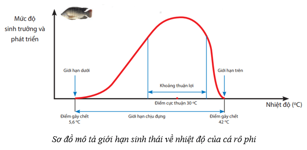 Môi trường và các nhân tố sinh thái (KHTN 8 Kết nối tri thức Bài 41)