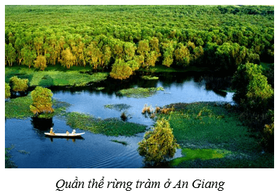 Quần thể sinh vật (KHTN 8 Kết nối tri thức Bài 42)