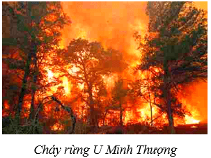 Quần thể sinh vật (KHTN 8 Kết nối tri thức Bài 42)