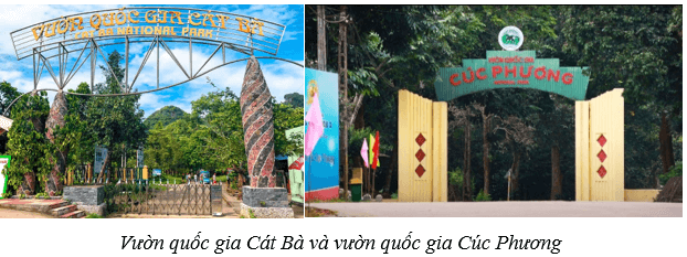 Quần thể sinh vật (KHTN 8 Kết nối tri thức Bài 42)