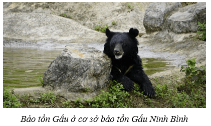 Quần thể sinh vật (KHTN 8 Kết nối tri thức Bài 42)
