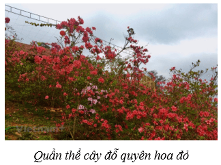 Quần thể sinh vật (KHTN 8 Kết nối tri thức Bài 42)