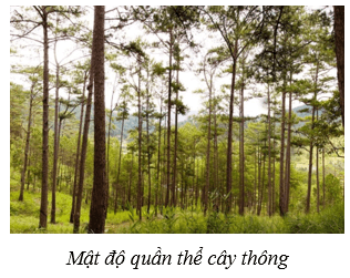Quần thể sinh vật (KHTN 8 Kết nối tri thức Bài 42)
