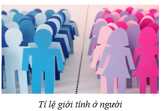 Quần thể sinh vật (KHTN 8 Kết nối tri thức Bài 42)