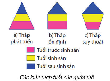 Quần thể sinh vật (KHTN 8 Kết nối tri thức Bài 42)