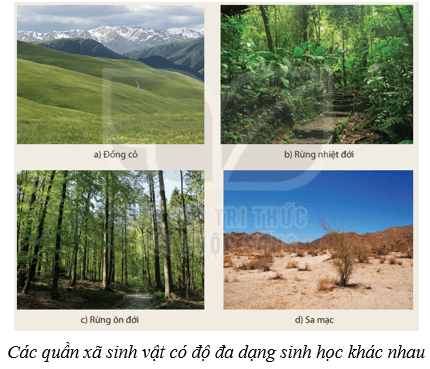 Quần xã sinh vật (KHTN 8 Kết nối tri thức Bài 43)