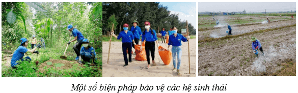 Hệ sinh thái (KHTN 8 Kết nối tri thức Bài 44)