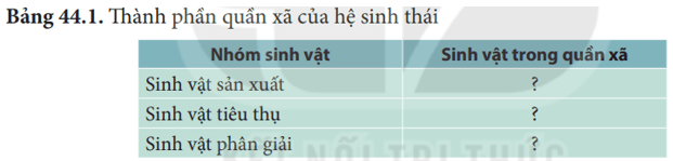 Hệ sinh thái (KHTN 8 Kết nối tri thức Bài 44)