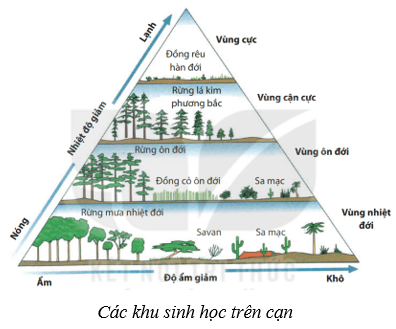 Sinh quyển (KHTN 8 Kết nối tri thức Bài 45)